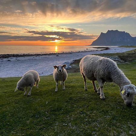 Fisherman'S Cabin, Lofoten - 24 Bardbua 발스타드 외부 사진